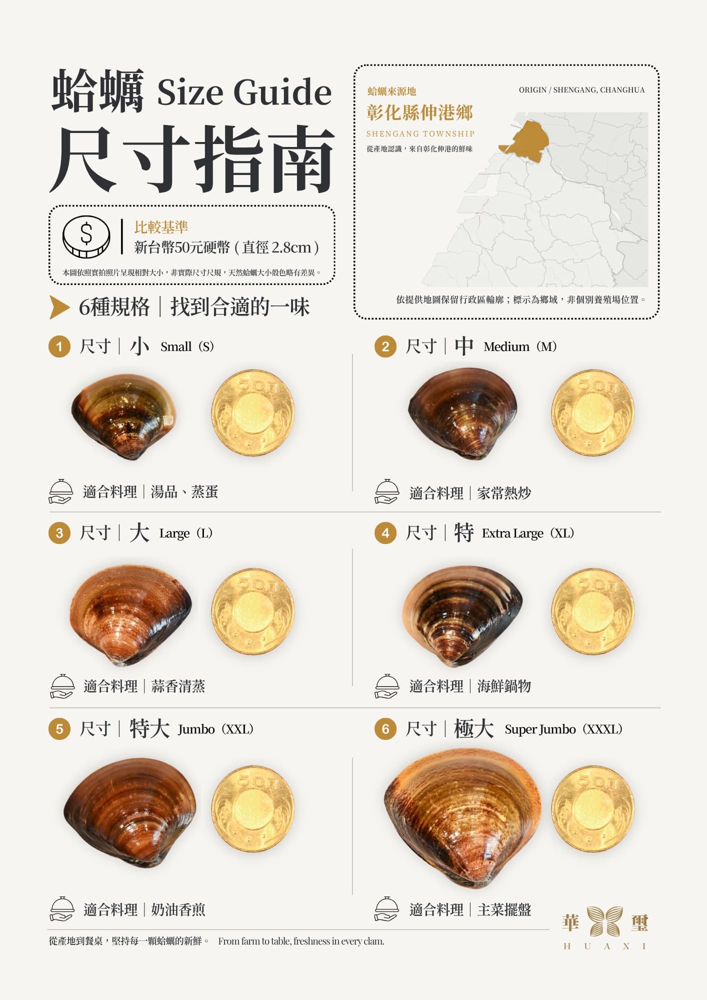 蛤蠣尺寸指南：小、中、大、特、特大、極大 6 種尺寸與新台幣 50 元硬幣實拍對照，附建議料理；產地彰化縣伸港鄉